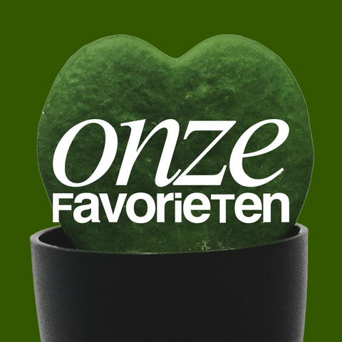 Onze Favorieten