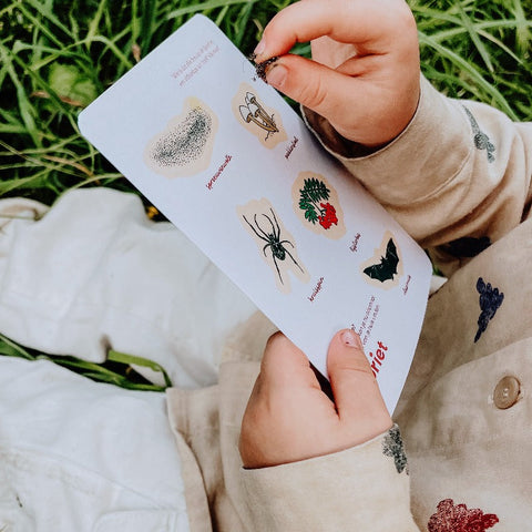 Vroege herfst Spriet-box