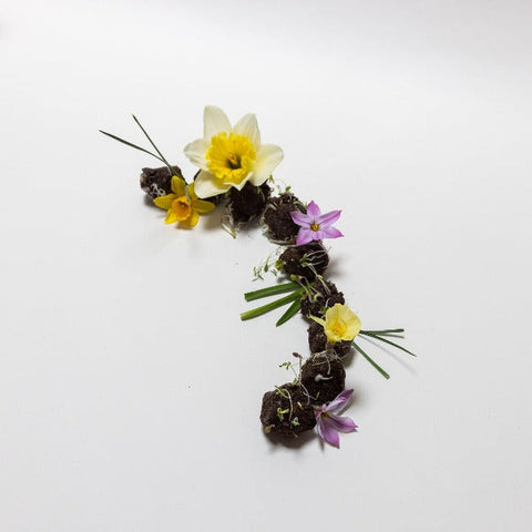 Spriet zaadbommen maken lente makkelijk