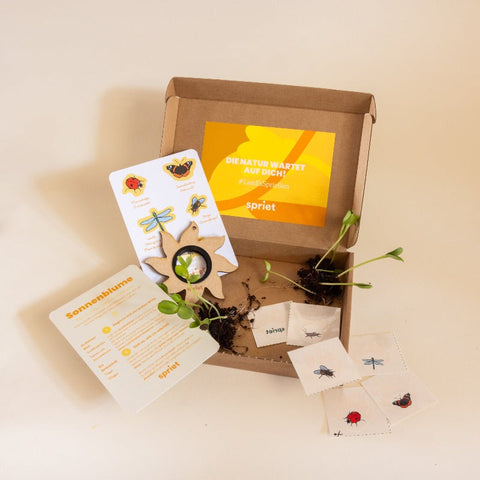 Erfahren Sie mehr über den Sommer