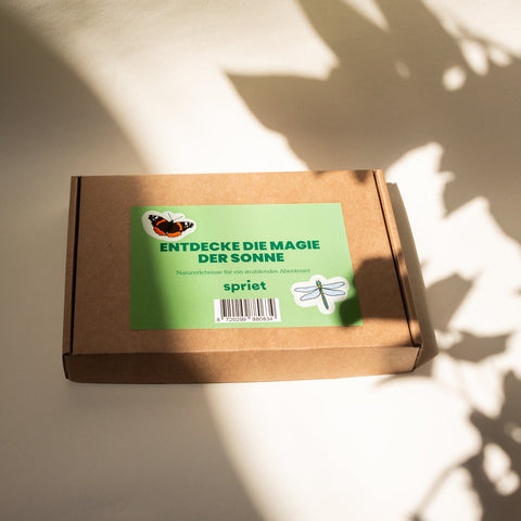 naturbox für Sommer und Sonne