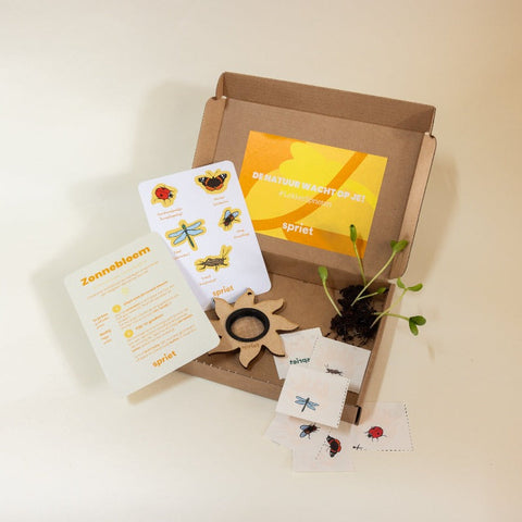 leer meer over de zomer