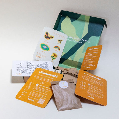 box natuuractiviteit kind zomer