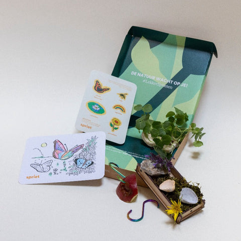 natuurbox kind activiteiten natuur zomer