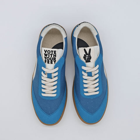 THE ‘269’ BLUE WHALE