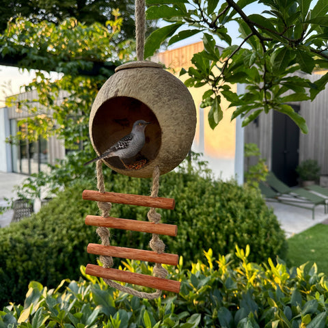 Coconut Bird Feeder