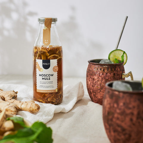 Cocktail | Moscow Mule | Ginger & Lemon | BIO | Doos met 8 stuks