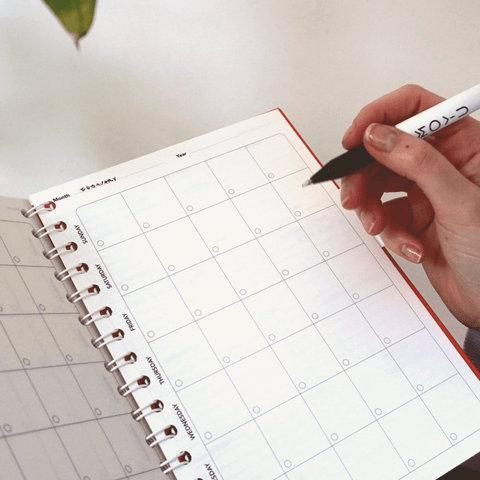 Erasable Agenda A5 - Passion Pink