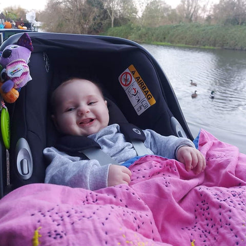 Baby in a car seat with a pink blanket and stuffed toy, looking out at water with ducks.