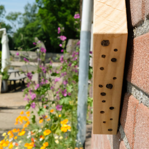 binthout bijenhotel aan houten spijker bij bloemen