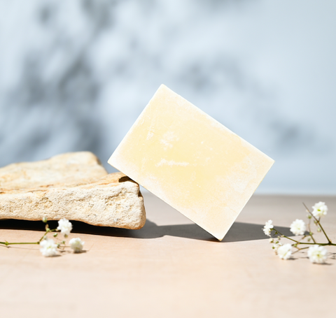 Eco dish soap BAR