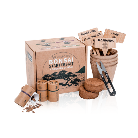 Plasticvrije bonsai starters kit duurzaam gemaakt met e-book.