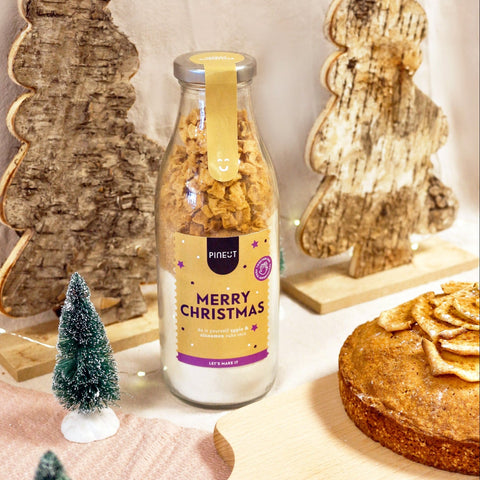 Merry Christmas cake | Kerst