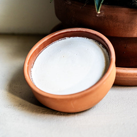 Eco Dish Soap JAR