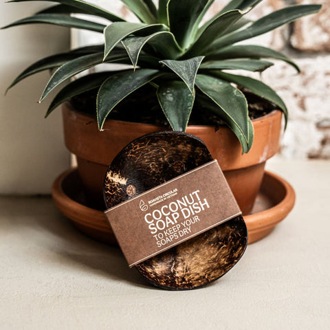Coconut Soap Dish