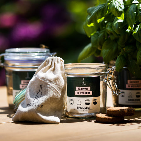 DIY Kweekset Box - Shop Cycle-Up