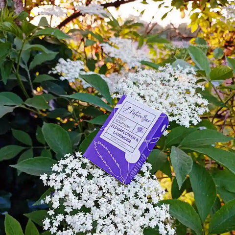 LIMITED EDITION: Elderflower &amp; Lavender Soap