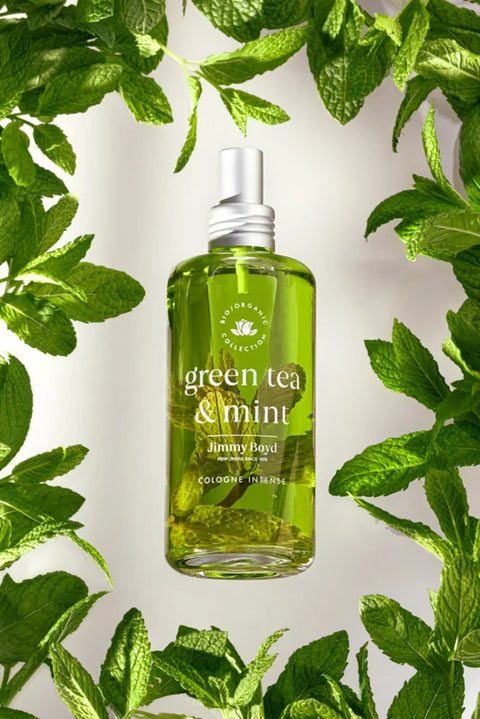 JIMMY BOYD Green Tea &amp; Mint — Green Tea &amp; Mint