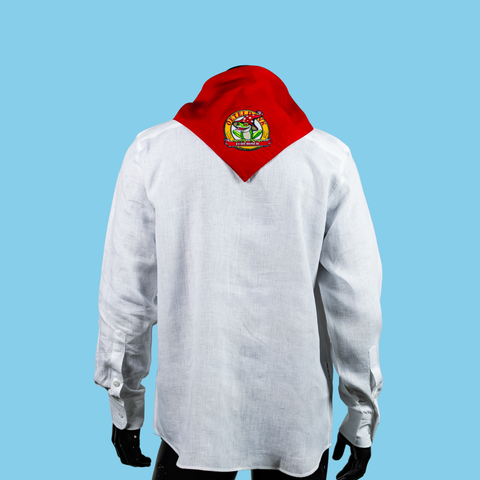 Shirt met zakdoek