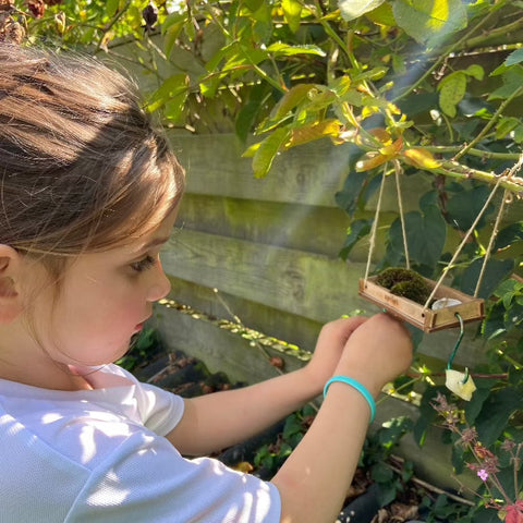 vlinders helpen zomer kind natuurbox