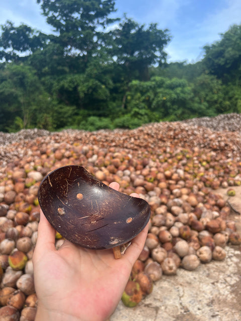 Coconut shell soap dish | Soap container