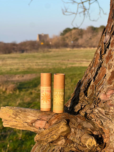 Natural Lip Balm