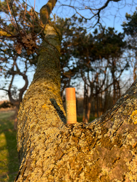 Natural Lip Balm