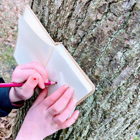 Ontdek natuur stad kinderen Spriet boekje