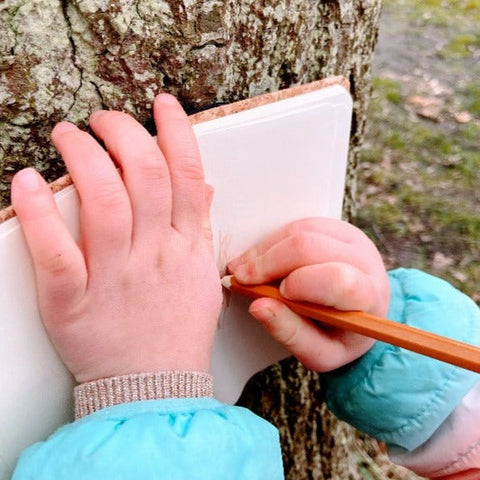 Ontdek natuur stad kinderen activiteit Spriet