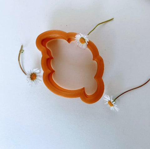 koekvormpje pla duurzaam lokaal