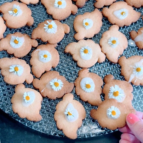madeliefjes koekjes maken
