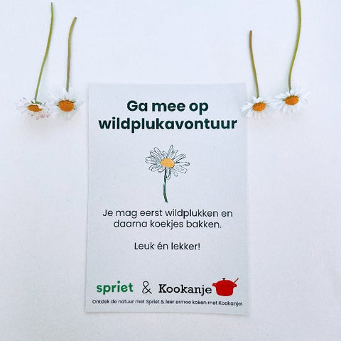 madeliefje wildplukken box kinderen cadeau