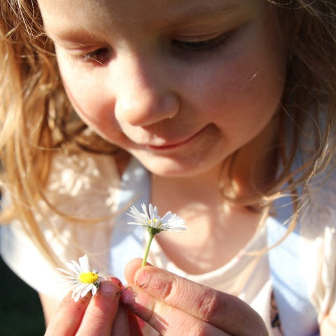 madeliefje wildplukken kinderen