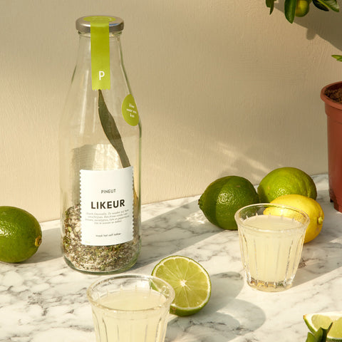 Limoenlikeur | Karaf | Klaar voor een Kus | Limoncello di Pineut | Doos met 6 stuks