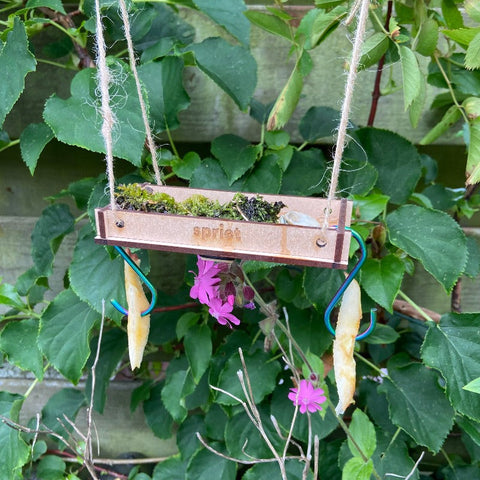 Late zomer Spriet-box