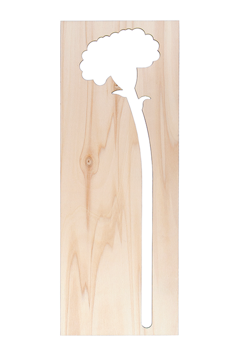 Carnation 60cm FSC mix