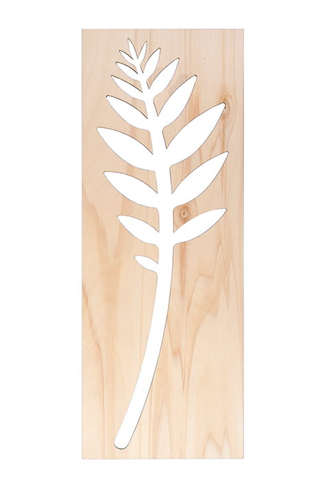 Mexicaanse bergpalm 60cm FSC mix