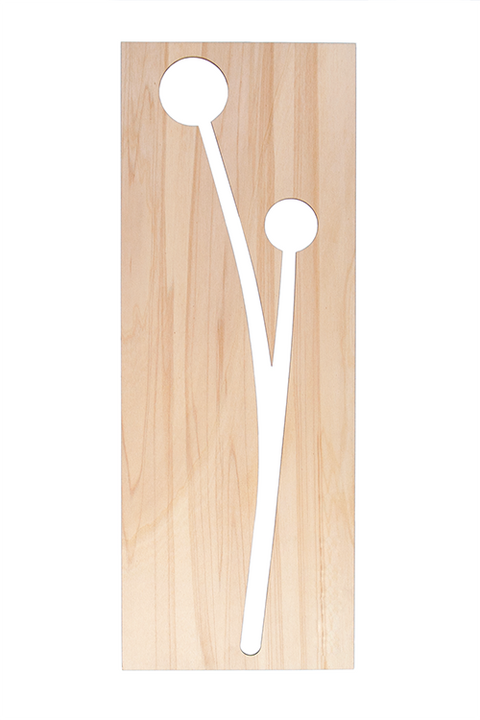 Craspedia 60cm FSC mix