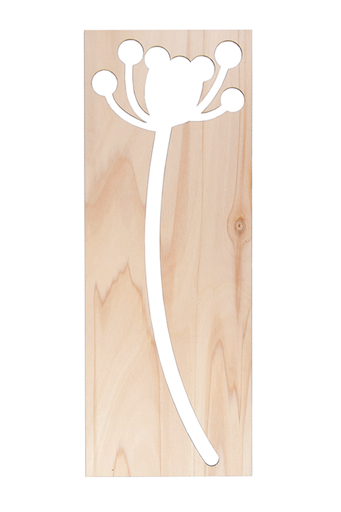 Cow parsley 60cm FSC mix