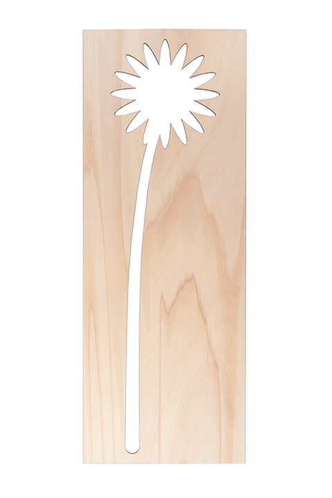 Daisy 60cm FSC mix