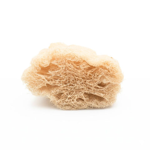 Loofah Veggie Sponge