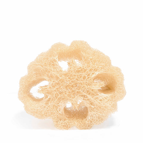 Veggie Sponge - 100% Natuurlijke Loofah