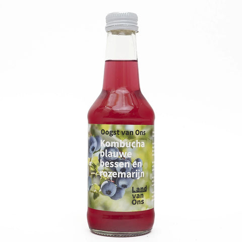Kombucha 4-pack