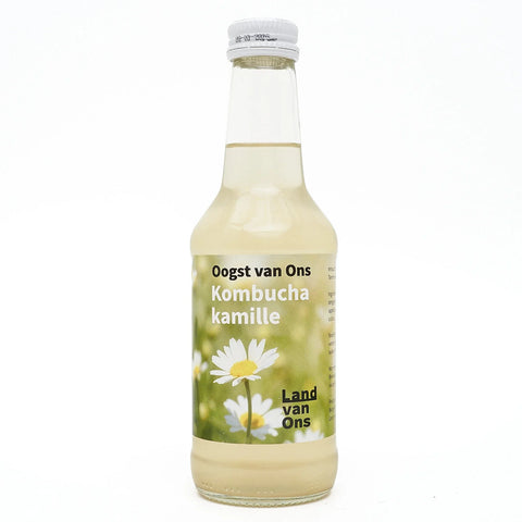 Kombucha 4-pack