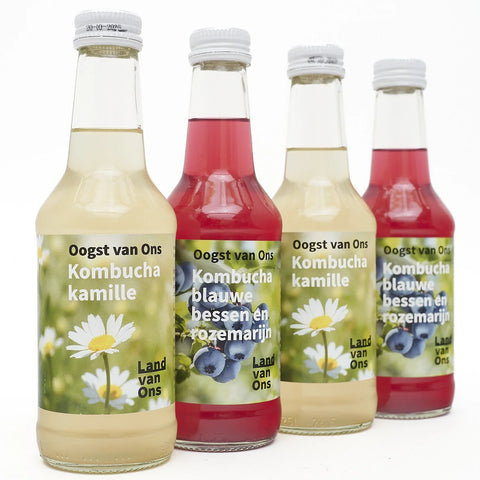 Kombucha 4-pack