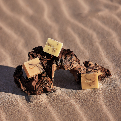 Mini Soap Bars Discovery Set