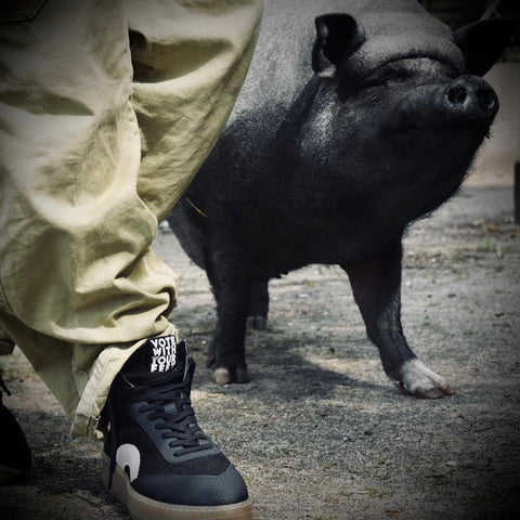 THE ‘269’ HI MONO DARK