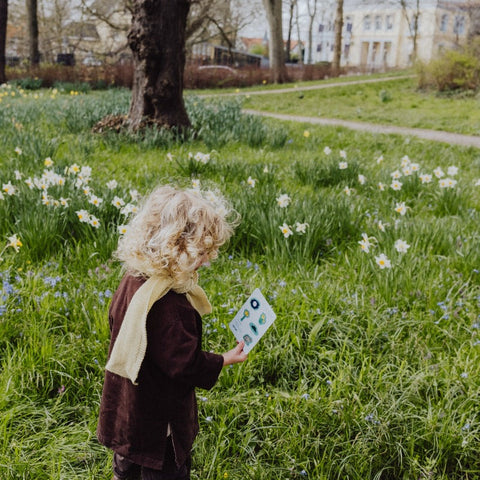 ontspannen in natuur spriet