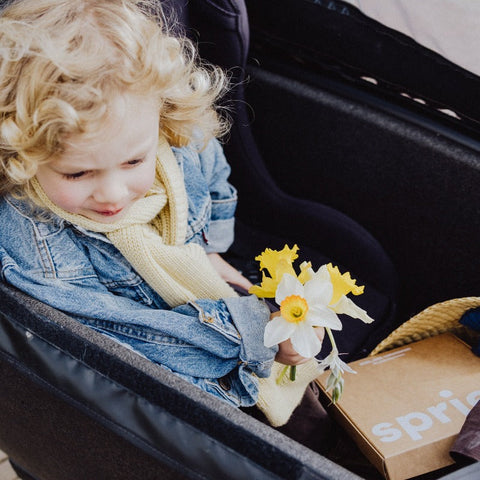 Late lente Spriet-box