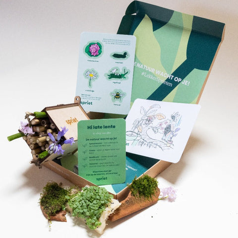 Late lente Spriet-box
